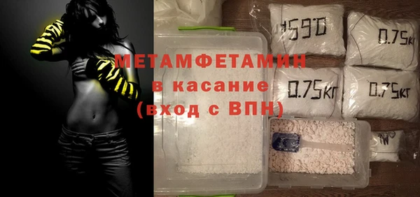 индика Бородино