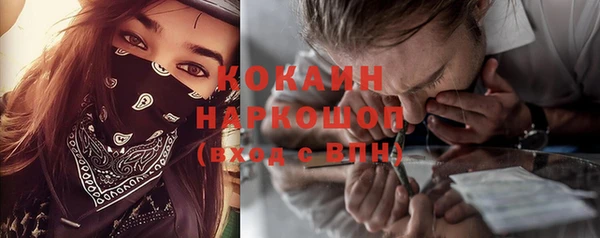 индика Бородино