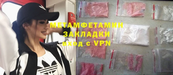 индика Бородино