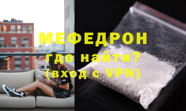 индика Бородино