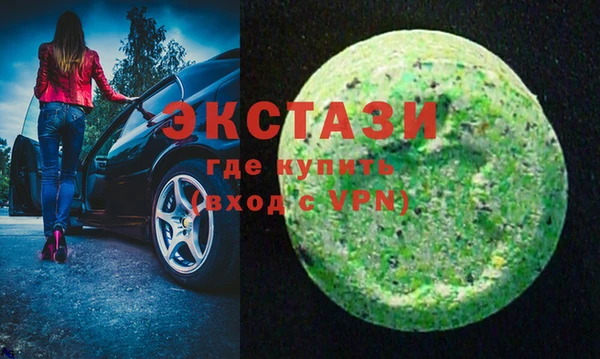 индика Бородино
