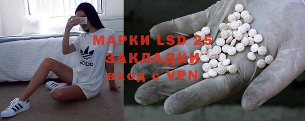 индика Бородино