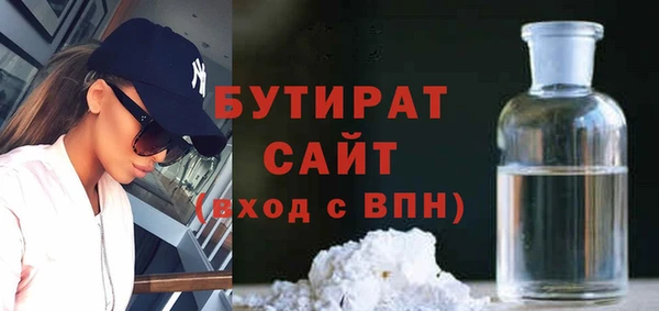 индика Бородино
