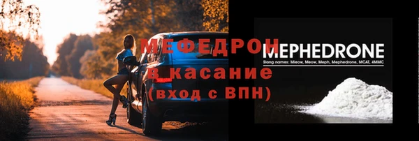 индика Бородино