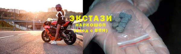 индика Бородино