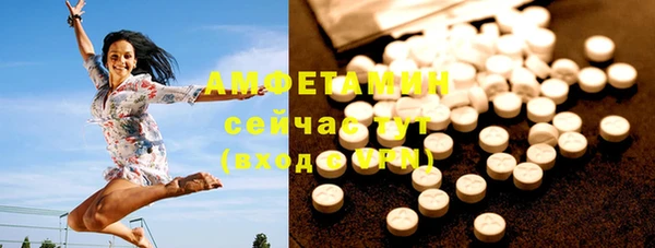 индика Бородино