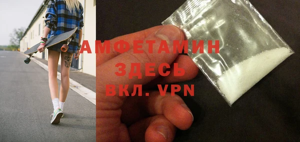 индика Бородино